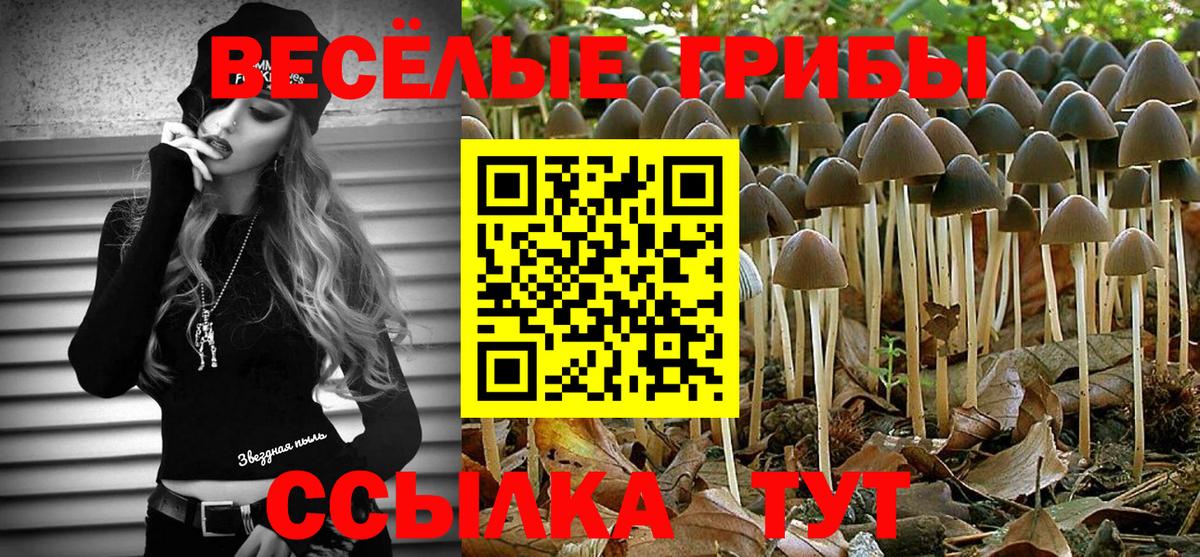 Кудымкар  Галлюциногенные грибы мухоморы  Вход с VPN 