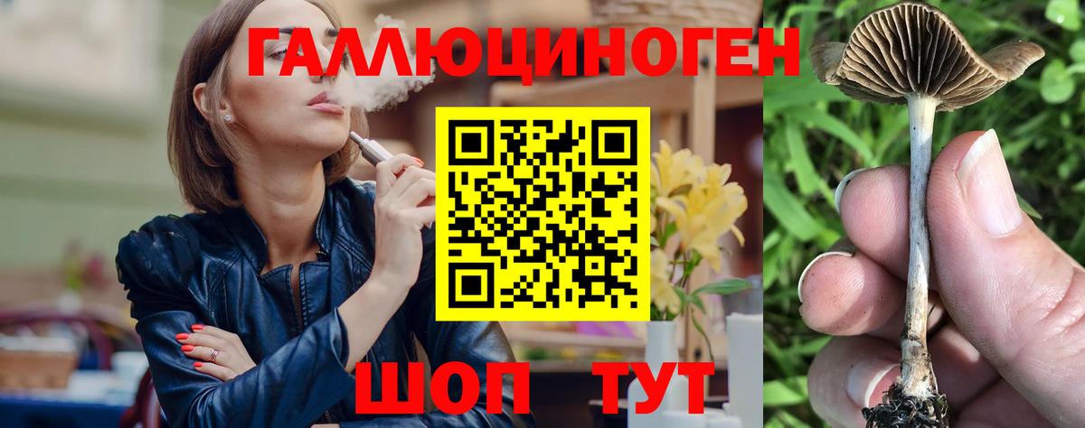 Псилоцибиновые грибы GOLDEN TEACHER Кудымкар